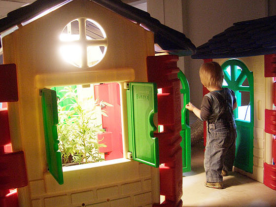Double Dutch Greenhouse