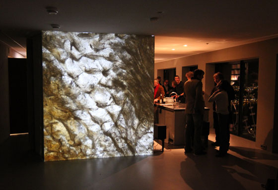 opening Wallgallery 14 Jan 2011_fish skin