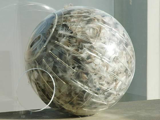 The Origin of Species The Origin of Species