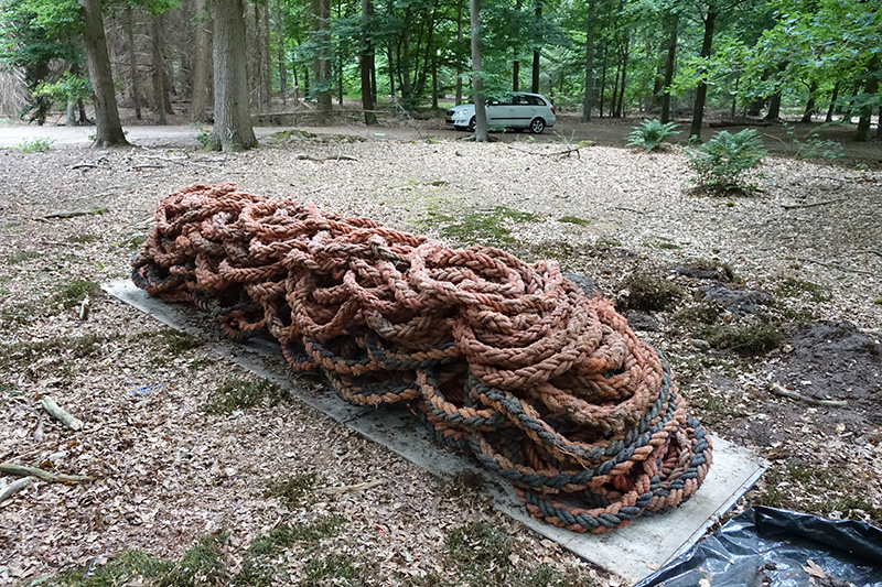 work in Progress work in Progress